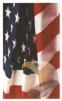 AmericanFlag&Eagle.jpg